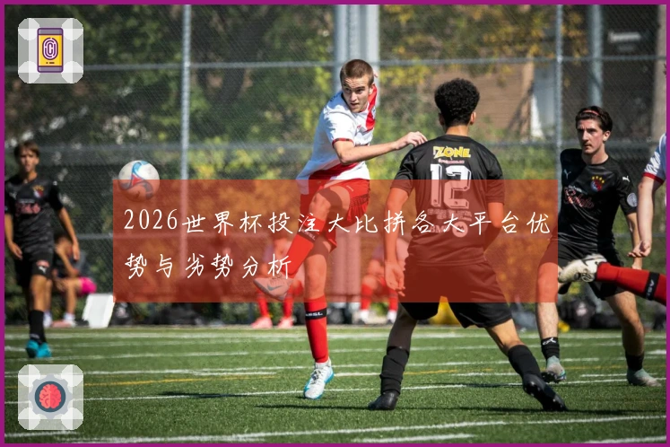 2026世界杯投注大比拼各大平台优势与劣势分析