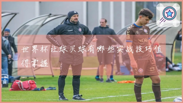 世界杯让球买球有哪些实战技巧值得掌握