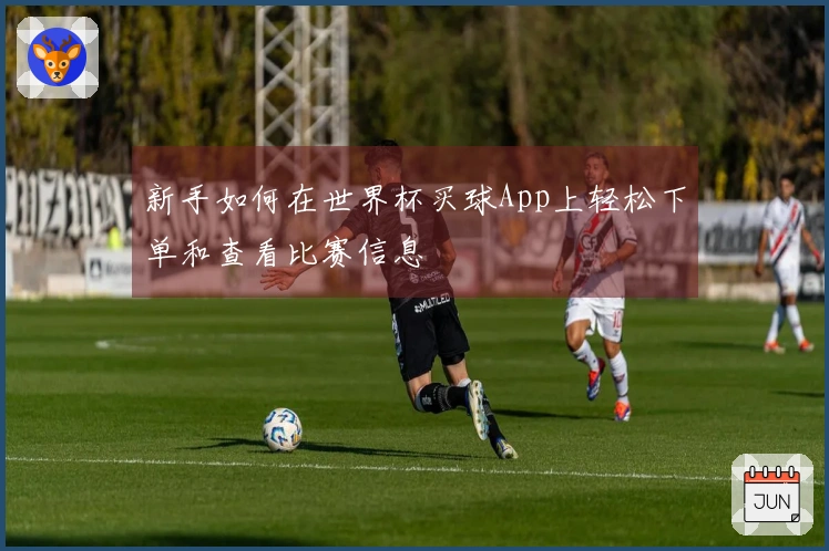 新手如何在世界杯买球App上轻松下单和查看比赛信息