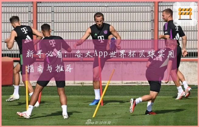 新手必看：各大App世界杯买球实用指南与推荐
