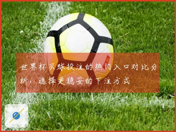世界杯买球投注的热门入口对比分析，选择更稳妥的下注方式