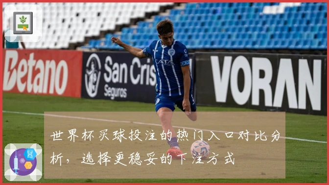 世界杯买球投注的热门入口对比分析，选择更稳妥的下注方式