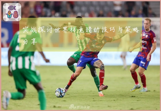 实战探讨世界杯竞猜的技巧与策略分享