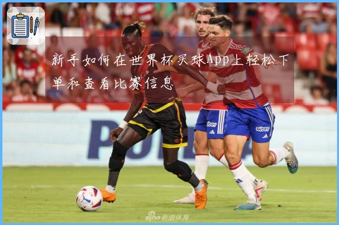 新手如何在世界杯买球App上轻松下单和查看比赛信息