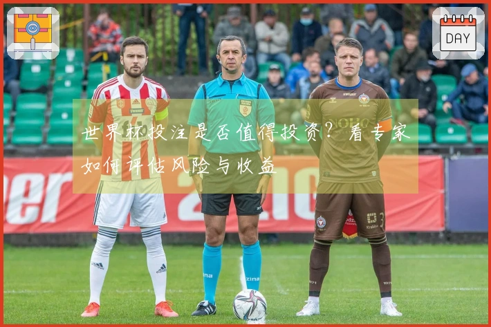 世界杯投注是否值得投资？看专家如何评估风险与收益
