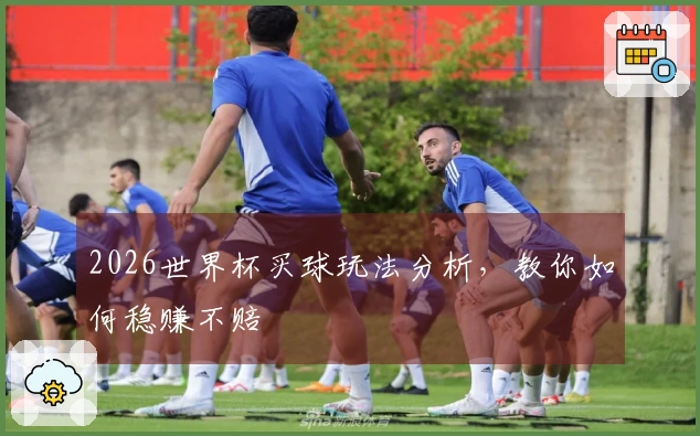 2026世界杯买球玩法分析,教你如何稳赚不赔