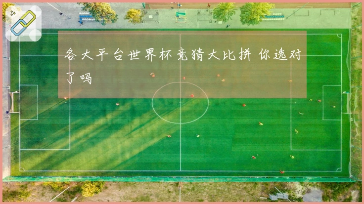 各大平台世界杯竞猜大比拼 你选对了吗