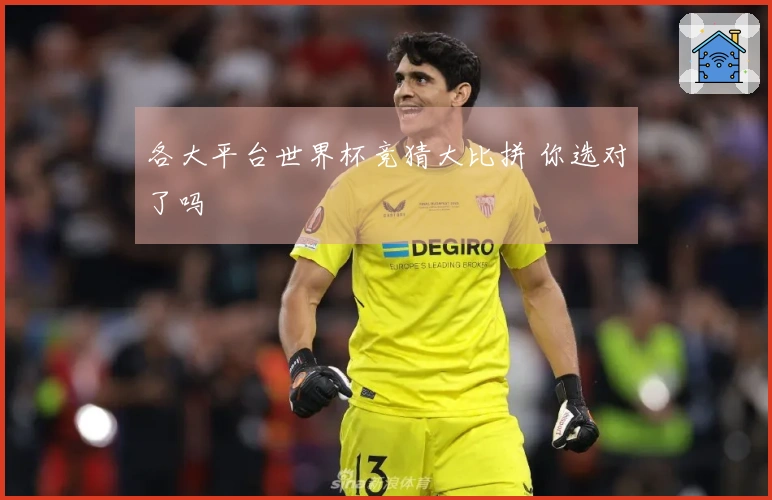 各大平台世界杯竞猜大比拼 你选对了吗