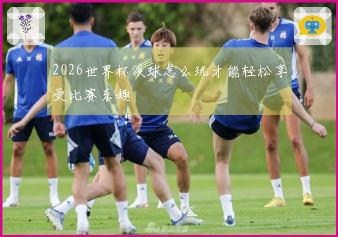 2026世界杯滚球怎么玩才能轻松享受比赛乐趣