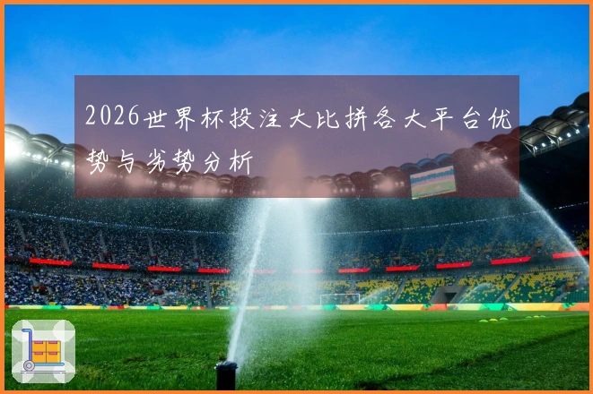 2026世界杯投注大比拼各大平台优势与劣势分析