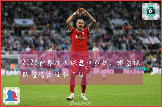 2026世界杯买球盘口分析：哪些球队值得关注和下注