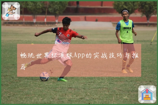 畅玩世界杯滚球App的实战技巧与推荐