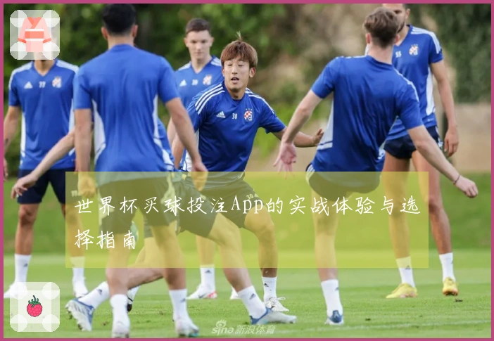 世界杯买球投注App的实战体验与选择指南