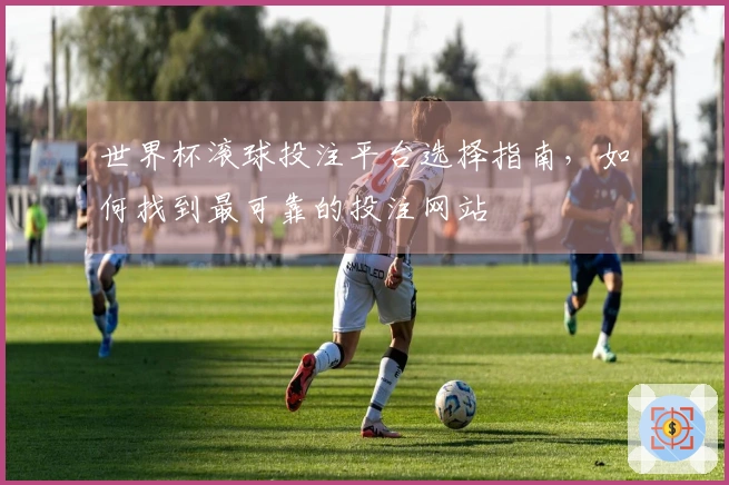 世界杯滚球投注平台选择指南，如何找到最可靠的投注网站