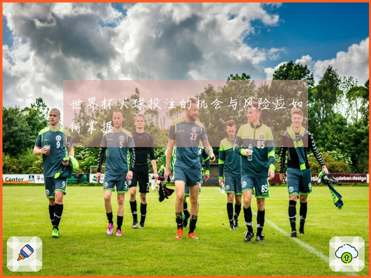 世界杯买球投注的机会与风险应如何掌握