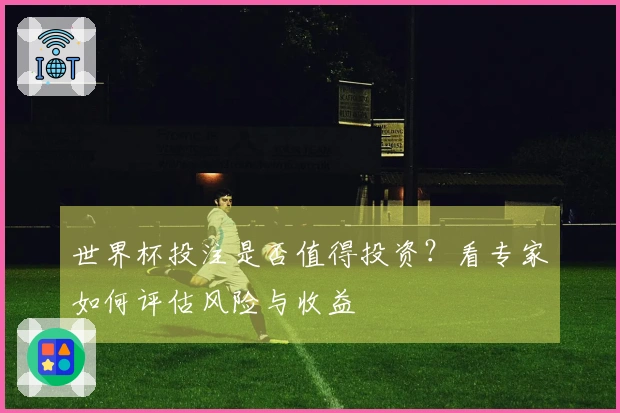 世界杯投注是否值得投资？看专家如何评估风险与收益