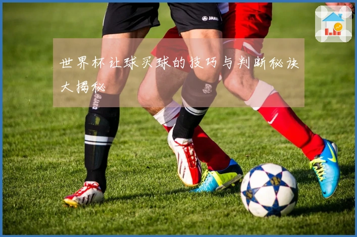 世界杯让球买球的技巧与判断秘诀大揭秘
