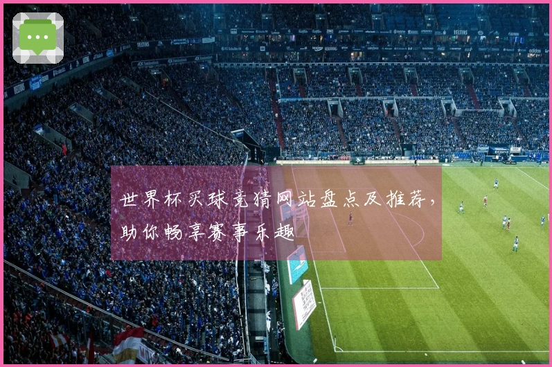 世界杯买球竞猜网站盘点及推荐，助你畅享赛事乐趣