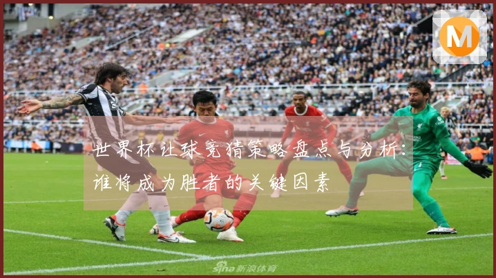 世界杯让球竞猜策略盘点与分析：谁将成为胜者的关键因素