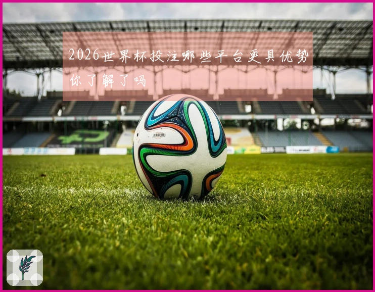 2026世界杯投注哪些平台更具优势你了解了吗