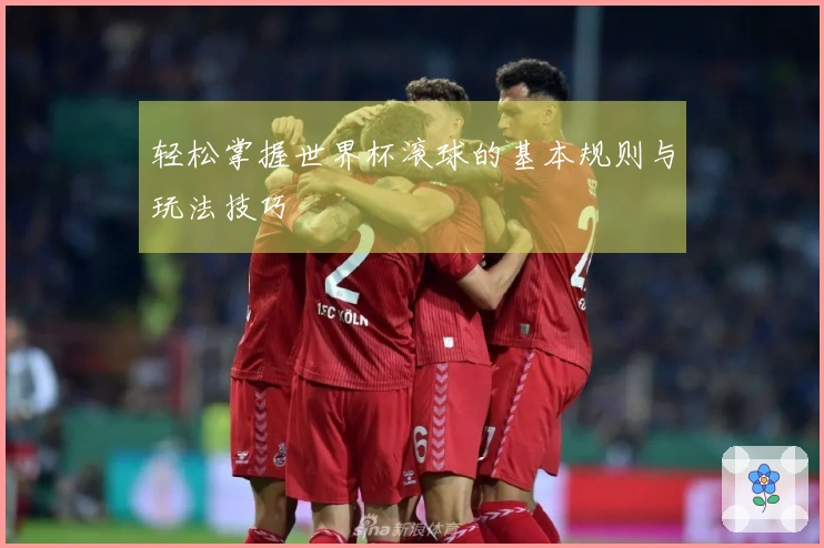 轻松掌握世界杯滚球的基本规则与玩法技巧